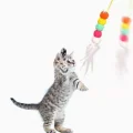 BUĞZ Elastik Kendinden Yapışkanlı Solucan Kedi Oltası Bx40