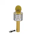 BUĞZ EMR-101 KUTULU KARAOKE MİKROFON