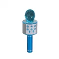 BUĞZ EMR-101 KUTULU KARAOKE MİKROFON