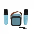 BUĞZ EMR-102 KUTULU 2Lİ KARAOKE MİKROFON