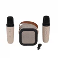 BUĞZ EMR-102 KUTULU 2Lİ KARAOKE MİKROFON