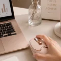 BUĞZ Ergonomik Tasarımlı Kablosuz Mouse Bluetooth ve USB Alıcılı