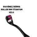 BUĞZ Ev Tipi Mikro İğneli Cilt Bakım Aleti – 1 mm Titanyum Roller