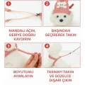 BUĞZ Evcil Hayvan Göğüs Gezdirme Tasması - Set Tasma - Karışık Renk