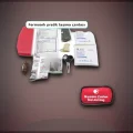 BUĞZ Fermuarlı Polyester Çantalı 17 Parça Acil İlk Yardım Seti Araba Ev Ofis BX-313494