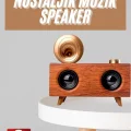 BUĞZ Gramafon Nostaljik Radyo Yüksek Ses Kalitesi USB TF Kart Aux