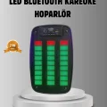 BUĞZ GTS 1793 Işıklı 6.5 İnç Kablosuz Hoparlör Bluetooth, USB ve FM Özellikli