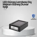 BUĞZ Güneş Enerjili LED Duvar Aydınlatması