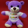 BUĞZ Happy Birthday Tişörtlü Peluş Mor Ayıcık