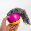 BUĞZ Hareketli Rakun Kedi Köpek Oyuncak