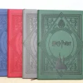 BUĞZ Harry Potter Deri Defter Renkli Model 1