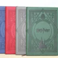 BUĞZ Harry Potter Deri Defter Renkli Model 1