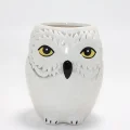 BUĞZ Harry Potter Hedwig Tasarım Porselen Kupa Bardak