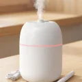 BUĞZ Hava Nemlendirici 220ml Buhar Makinesi, Sessiz Çalışma ve Ayarlanabilir Nem Seviyesi ile Kullanım Alanları