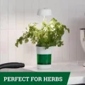  Hızlı Bitki Yetiştirme Saksısı