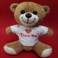 BUĞZ I Love You Tişörtlü Ayı
