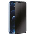 BUĞZ İphone 16e 3d Antistatik Hayalet Cam Ekran Koruyucu