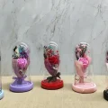 BUĞZ Işıklı Müzikli Cam Fanus İçinde Lavantalı Romantik Gül  Alk5001