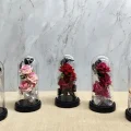BUĞZ Işıklı Müzikli Cam Fanus İçinde Romantik Gül  Alk5004