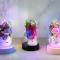 BUĞZ Işıklı Müzikli Romantik Fanus Tekli Gül Alk5007