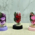 BUĞZ Işıklı Müzikli Romantik Fanus Tekli Gül Alk5007