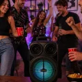 BUĞZ Kablosuz Karaoke Hoparlör Mikrofonlu RGB Işıklı 6.5 İnç Bluetooth Speaker Taşınabilir