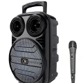 BUĞZ Kablosuz Karaoke Hoparlör Mikrofonlu RGB Işıklı 6.5 İnç Bluetooth Speaker Taşınabilir