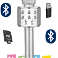 BUĞZ Kablosuz Karaoke Mikrofonu Dahili Hoparlörlü, USB ve TF Kart Desteği ile Ses Efekti Özellikli
