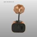 BUĞZ Kablosuz Retro Radyo Hoparlör 5W Güçlü Ses USB Hafıza Kart Destekli Yeni Nesil