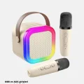 BUĞZ Karaoke Hoparlör Taşınabilir Çift Mikrofonlu ve LED Işıklı Bluetooth 5.0