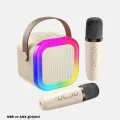 BUĞZ Karaoke Hoparlör Taşınabilir Çift Mikrofonlu ve LED Işıklı Bluetooth 5.0 - BUĞZ