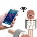 BUĞZ Karaoke Mikrofon Dahili Hoparlörlü Sd-usb-aux Girişli Bluetooth Hoparlör