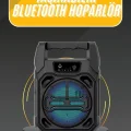 BUĞZ Karaoke Mikrofonlu Fm Radyolu Bluetooth Hoparlör Yüksek Ses Kaliteli