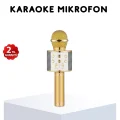 BUĞZ Karaoke Mikrofonu Bluetooth USB AUX Girişli Yankı Efektli