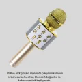 BUĞZ Karaoke Mikrofonu Bluetooth USB AUX Girişli Yankı Efektli