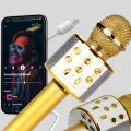 BUĞZ Karaoke Mikrofonu Bluetooth USB AUX Girişli Yankı Efektli