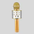 BUĞZ Karaoke Mikrofonu Bluetooth USB AUX Girişli Yankı Efektli