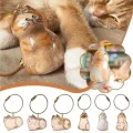 BUĞZ Kedi Şeffaf Anı Anahtarlığı - Kedi Figürlü - Karışık Model