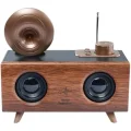 BUĞZ Klasik Tasarımlı Bluetooth Hoparlör ve Nostaljik Radyo, Kahverengi Renk Seçeneği