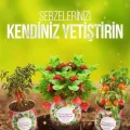 BUĞZ Konserve Bahçem Evde Konservede Fındık Turp Yetiştirme Kiti