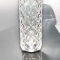 BUĞZ KRİSTAL LAMBA