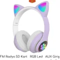 BUĞZ Kulak üstü Bluetooth kulaklık mor renk ANC mikrofon FM radyo SD kart aux girişli