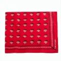 BUĞZ Kuru Kafa Desenli Bandana 50*50