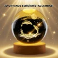BUĞZ Lazer İşlemeli Yunus Kristal Küre Sıcak Işıklı Ahşap Standlı