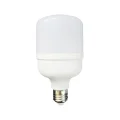 BUĞZ Led ampul 20 watt 1500 lümen E27 duy gün ışığı beyaz renk dim özelliği yok - E27 Duy Tipi