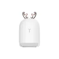 BUĞZ Lovely Humidifier Ortam Dezenfeksiyon ve Şık Buhar Makinesi