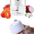 BUĞZ Mini Doğrayıcı Rondo Taşınabilir Mini El Blender Paslanmaz Çelik