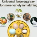  Mini Otomatik Ev Tipi Kuluçka: Elektrikli Tavuk Ve Kuş Kuluçka Makinesi 6 Yumurtalı Mx-6