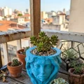 BUĞZ Minimalist Kadın Yüzü Heykel Tasarımlı 3D Dekoratif Saksı Vazo