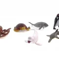  Model Deniz Hayvanları